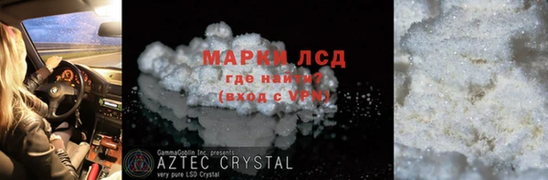 прущие грибы Горно-Алтайск