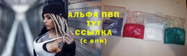 прущие грибы Горно-Алтайск