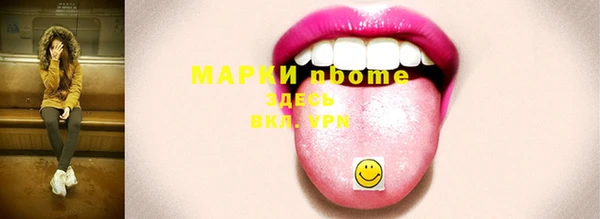 прущие грибы Горно-Алтайск