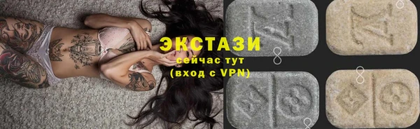 прущие грибы Горно-Алтайск