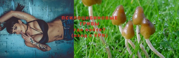 прущий лед Горнозаводск