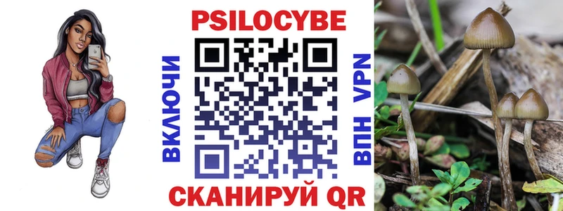 Псилоцибиновые грибы Psilocybine cubensis Купить где Верещагино